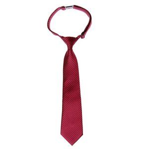 Pre-tied Boy's Stripe Textured Burgundy Tie